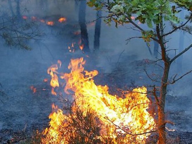 Požar u Sjevernoj Makedoniji (Foto:intellinews.com) - 