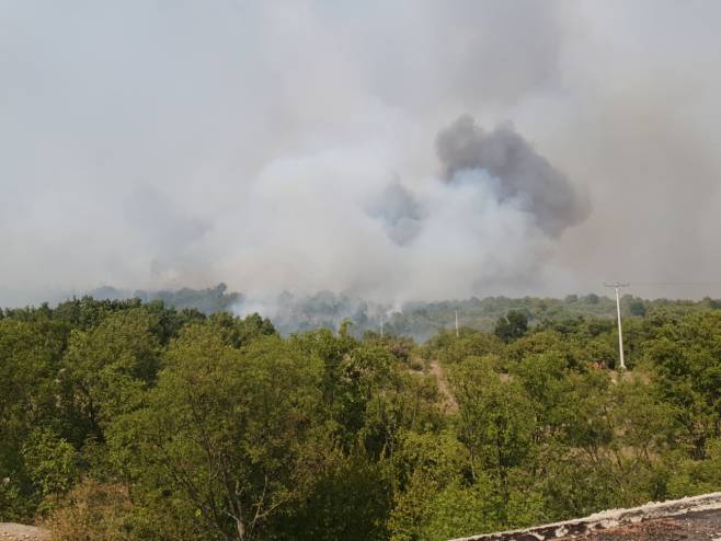 Ljubinje - požar u rejonu sela Bančići - Foto: SRNA