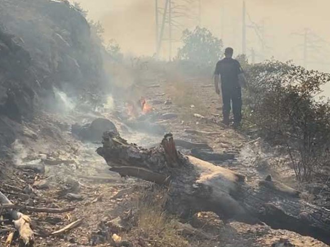 Požar u kanjonu Tare, vatra zahvatila nepristupačan teren (FOTO)