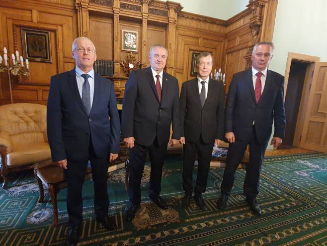 Delegacija Srpske u Sankt Petersburgu (Foto: Vlada Srpske) - 