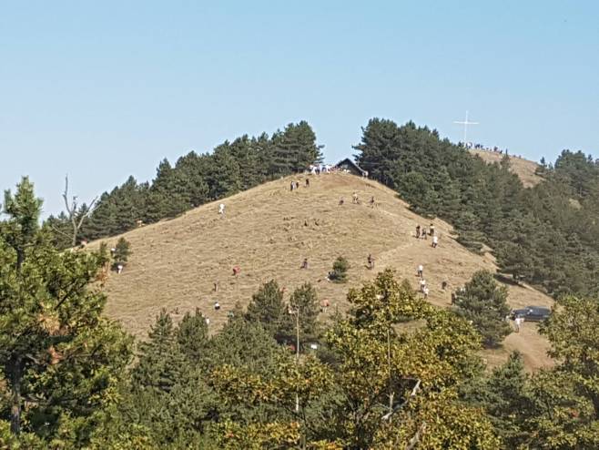 Berba trave ive na Ozrenu - Foto: RTRS
