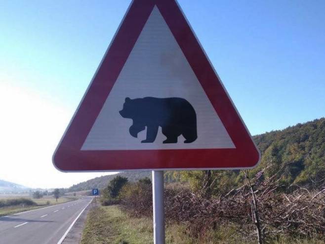 Postavljen znak "medvjed na putu" na magistralnom putu Bihać - Bosanski Petrovac - Foto: Facebook