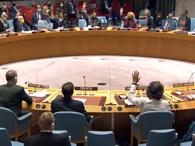 Savjet bezbjednosti UN - Foto: Screenshot/YouTube