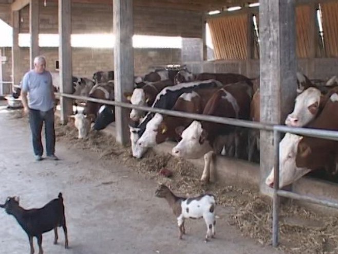 Farma porodice Nikolić - Foto: RTRS