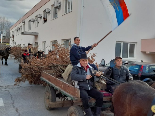 Badnjaci usječeni na obroncima Trebevića - Foto: RTRS