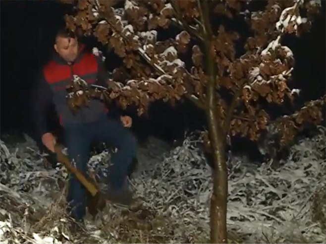 Sječa Badnjaka Sječa Badnjaka - Foto: Screenshot