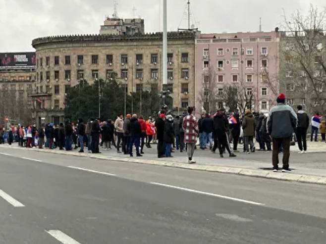 Skup podrške Novaku Đokoviću (Foto: Sputnik / Petar Tadić) - 