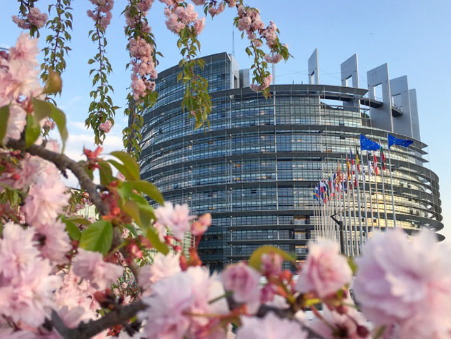 Furlas: Nema proširenja EU bez Srbije, podnio sam amandmane na Piculin izveštaj