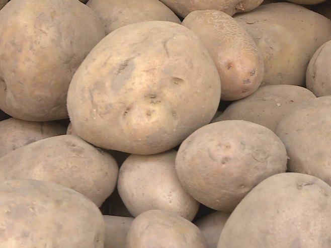 Zbog prisustva veće količine pesticida, zabranjen uvoz krompira iz Poljske