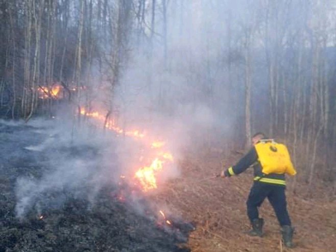 Milići-požar - Foto: SRNA