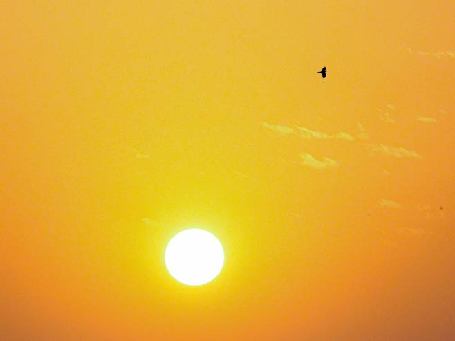 Sunce (Foto ilustracija: EPA-EFE/ NOUFAL IBRAHIM) - 