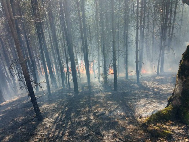 Požari oko Trebinja i dalje aktivni ali ne ugrožavaju ovjekte i imovinu