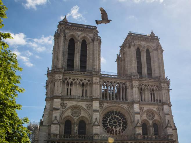 Cuál es la catedral más grande de españa