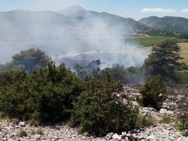 Trebinje: Ugašen požar - Foto: RTRS