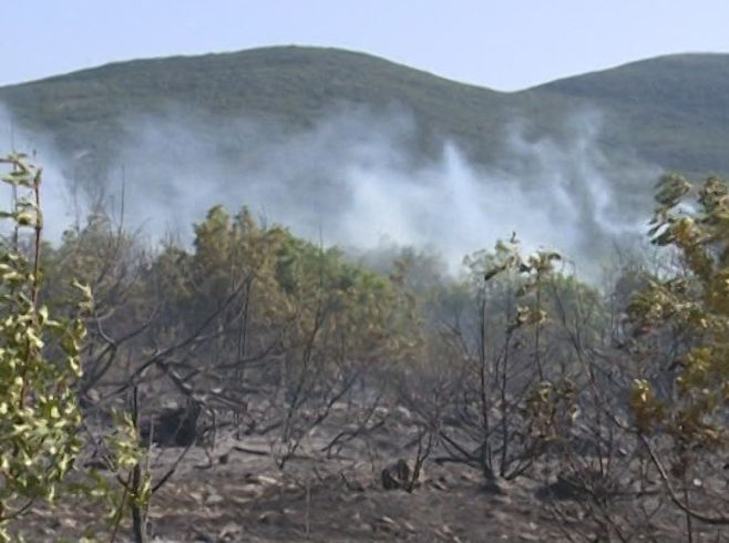 Požar u Hercegovini - Foto: RTRS