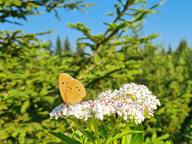 U ponedjeljak sunčano i vrlo toplo, popodne nestabilno