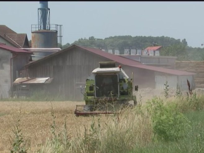 Lalić: Podsticajna politika Vlade dala rezultate u poljoprivredi (VIDEO)
