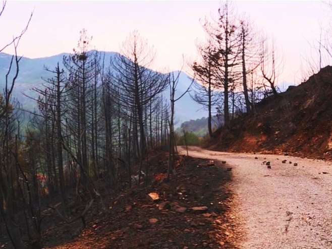Štete od požara u Hercegovini - Foto: RTRS