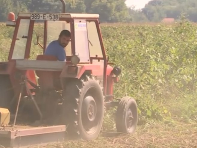Mladi agronomi iskoristili bespovratna sredstva Vlade Srpske; Proširili kapacitete (VIDEO)