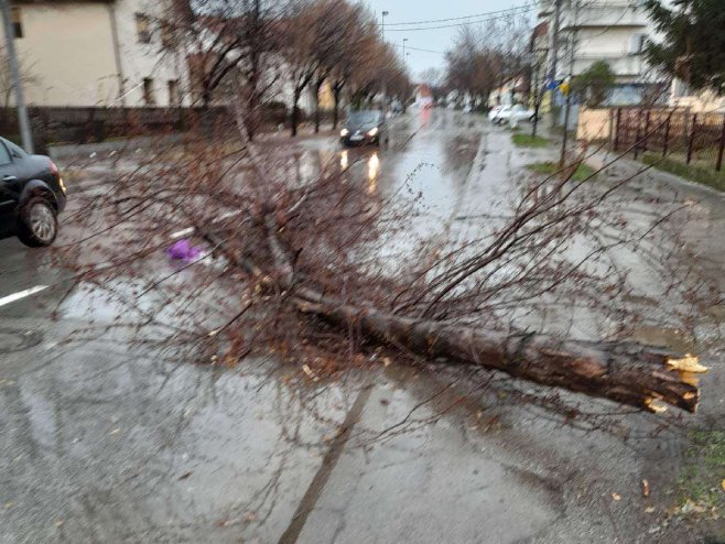 Olujni vjetar obarao stabla; Problemi i u regionu (FOTO)