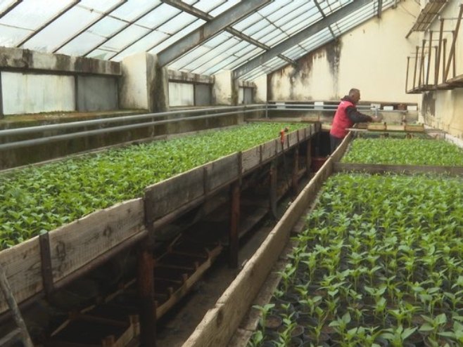 Poljoprivredna škola u Banjaluci - kada se udruže ljubav, želja i mašta (VIDEO)