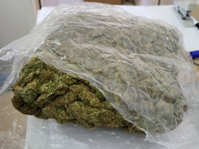 Oduzeta marihuana (Foto: TANJUG/ OMK MUP REPUBLIKE SRBIJE/bs) Oduzeta marihuana (Foto: TANJUG/ OMK MUP REPUBLIKE SRBIJE/bs) -