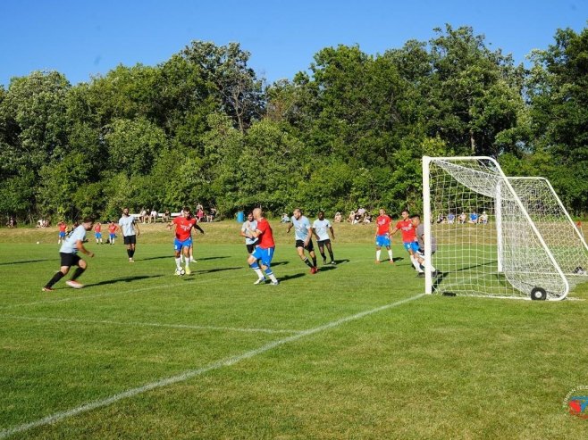 Srbijada u Čikagu (Foto: Serbian Times, Saša Lukić (STV)) - 