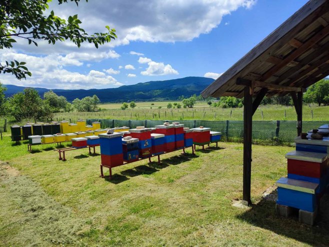 Pčelinjak porodice Čeko u Bosanskom Grahovu - Foto: SRNA