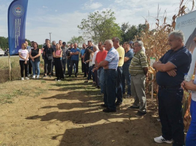 Manifestacija "Dani polja kukuruza" - Foto: RTRS