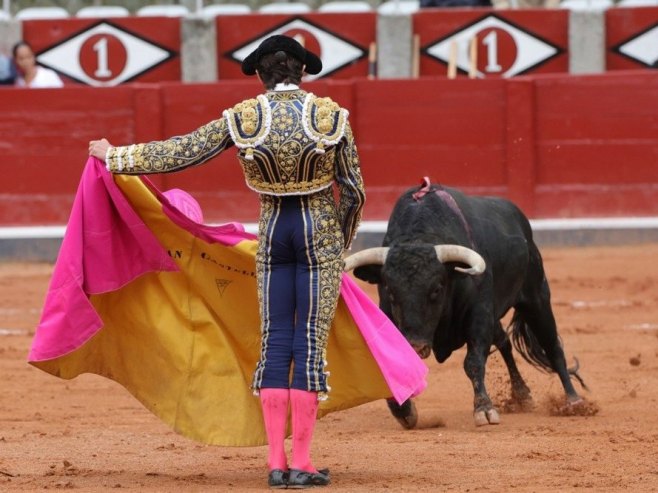Borbe bikova u Španiji (Foto: EPA-EFE/JMGARCIA) - 