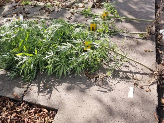 Opojna droga Opojna droga - Foto: Ustupljena fotografija