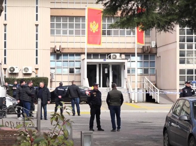 Bratićevoj određen pritvor do 30 dana