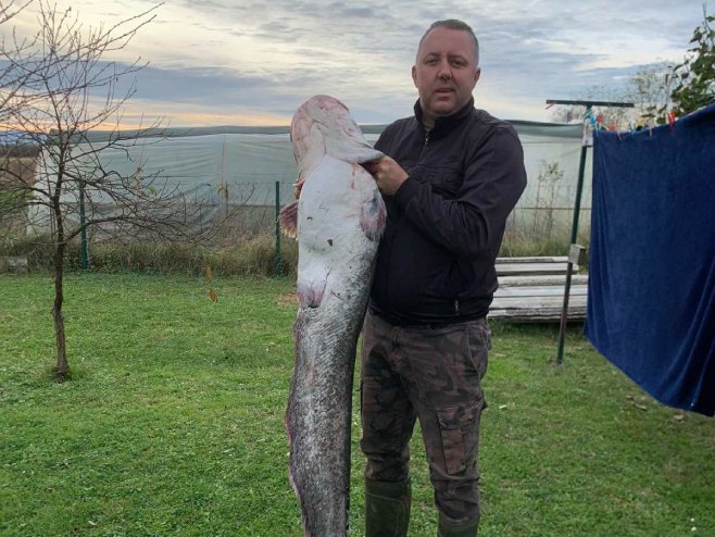Uhvaćen som od 25 kilograma Uhvaćen som od 25 kilograma - Foto: Ustupljena fotografija
