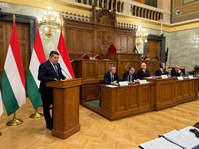 Nenad Stevandić u Mađarskoj Nenad Stevandić u Mađarskoj - Foto: Ustupljena fotografija