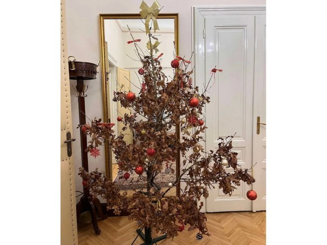 Badnjak u kabinetu Željke Cvijanović (foto: instagram.com/zeljka.cvijanovic) - 