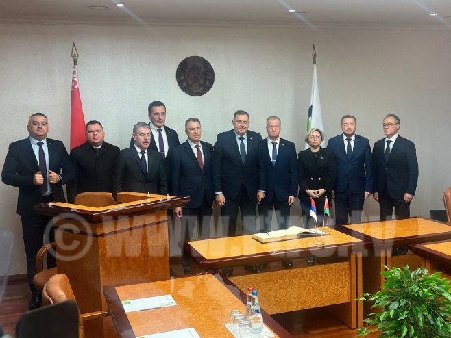 Sastanak sa zamjenikom ministra privrede Aleksandrom Ogorodnikovom - Foto: RTRS