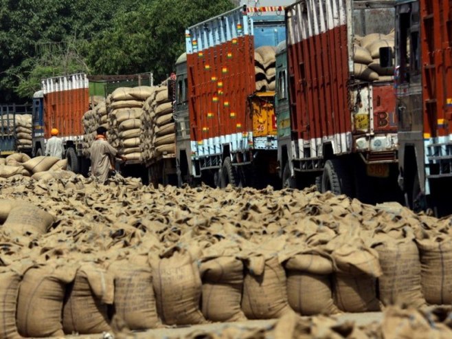Rusija isporučila 200.000 tona pšenice kao pomoć afričkim zemljama