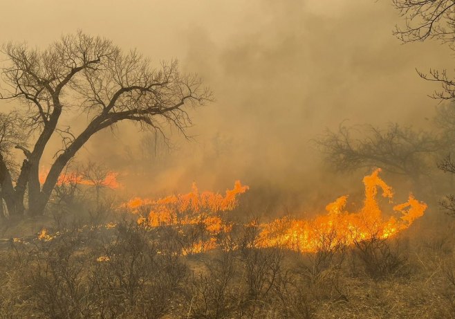 Požar u Teksasu (Foto: EPA-EFE/GREENVILE) - 