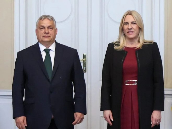 Cvijanović: Mnogo lakše boriti se za slobodu i demokratiju, kada uz sebe imate iskrenog  prijatelja kakav je Orban (VIDEO)