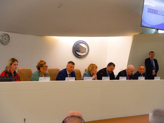 Nenad Nešić na OSCE konferenciji - Foto: Ustupljena fotografija