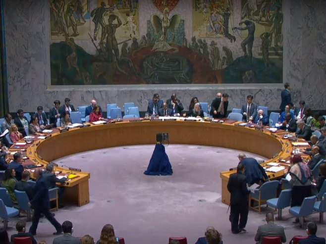 SB UN o BiH: Obratili se Šmit i Bećirović, Rusija i Kina  ukazali na opasnost intervencionizma (VIDEO)