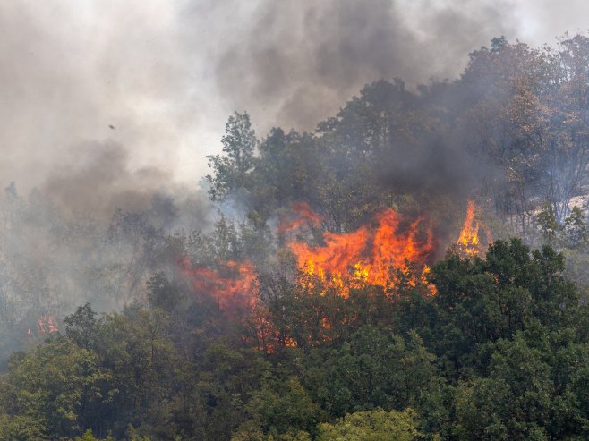 Šumski požar (Foto: EPA-EFE/GEORGI LICOVSKI/ilustracija) - 