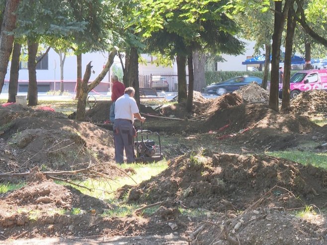 Kapović Solomun: Zbog rekonstrukcije "Kupusišta" oštećena stabla