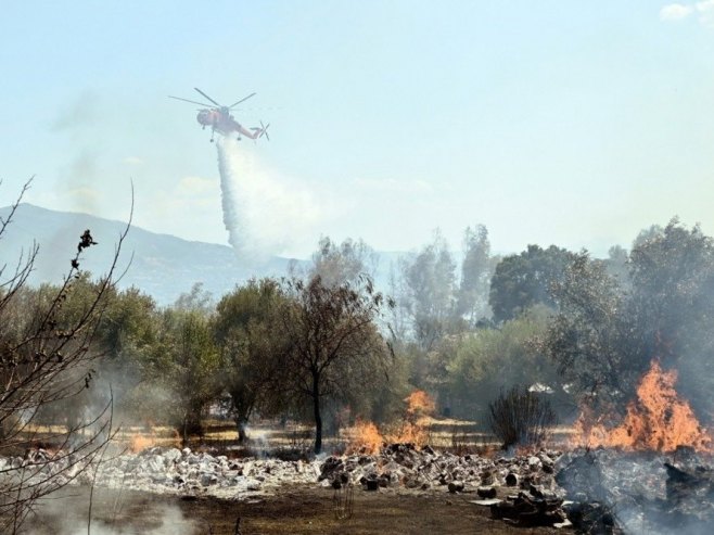 Grčka, požari (foto: arhiva/ EPA-EFE/GIOTA LOTSARI) - 