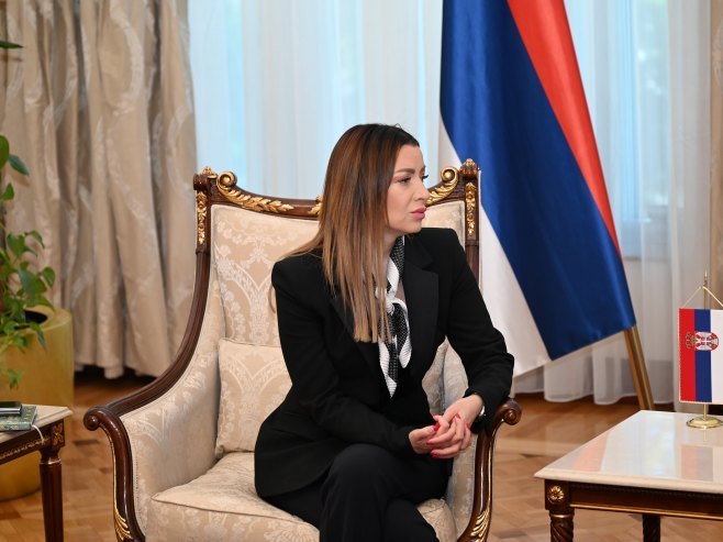 Mesarović: Ne želim da prećutim kroz kakav strašan tretman sam prošla od hrvatskih carinika na putu za Banjaluku