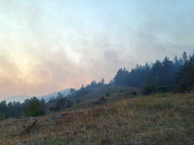 Drvar, požar - Foto: SRNA