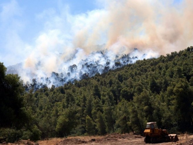 Crna Gora: Borba sa vatrom na brdima Radovče i Zelenika