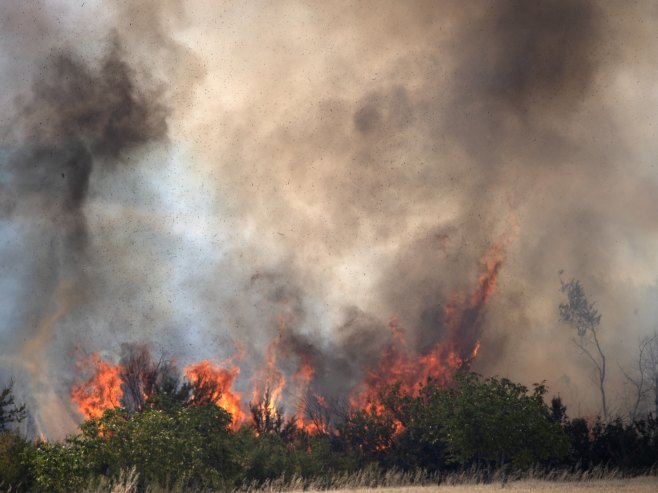Požari u Makedoniji (Foto: EPA-EFE/GEORGI LICOVSKI) - 