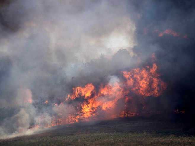 Požar (Foto: EPA-EFE/GEORGI LICOVSKI/ilustracija) - 