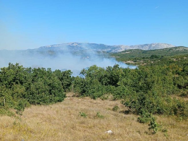 Bileća, pod kontrolom požar u području sela Korita - Foto: SRNA